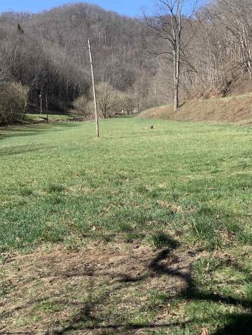 1444 Euclid Nicut Road Orma WV 25268