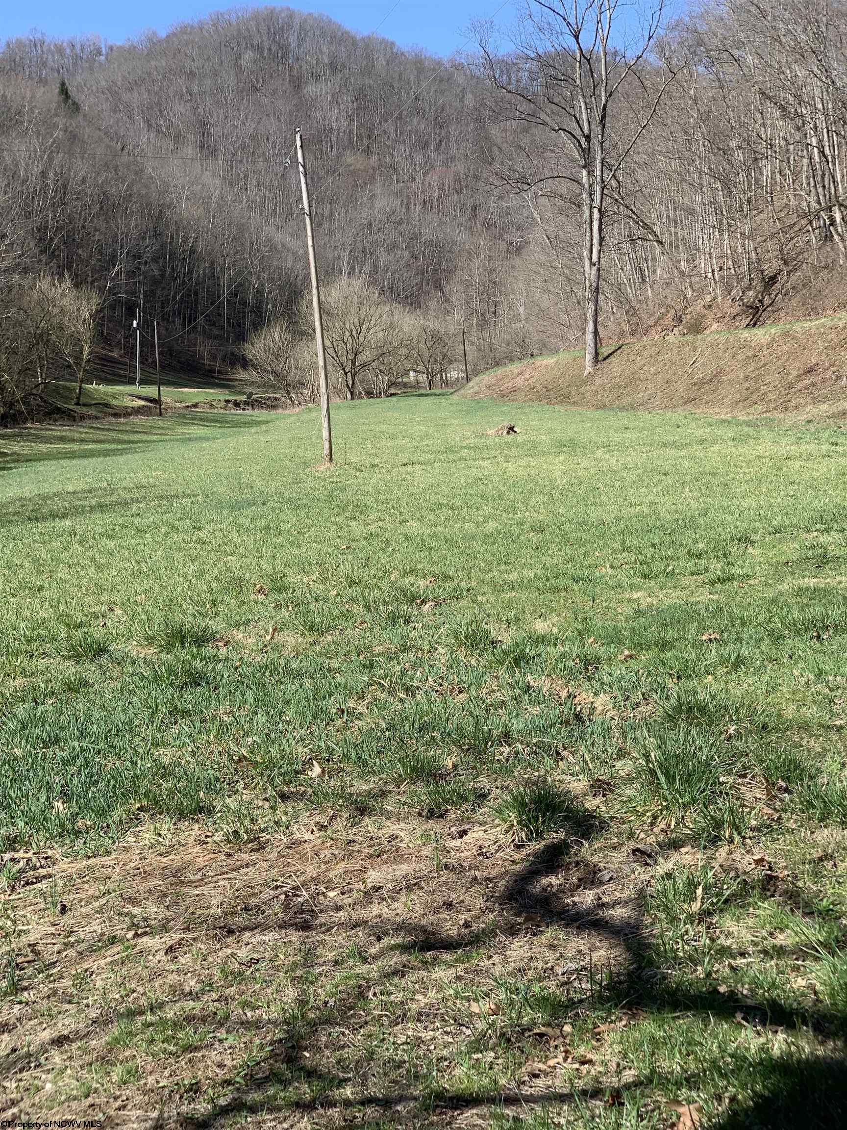 1444 Euclid Nicut Road Orma WV 25268