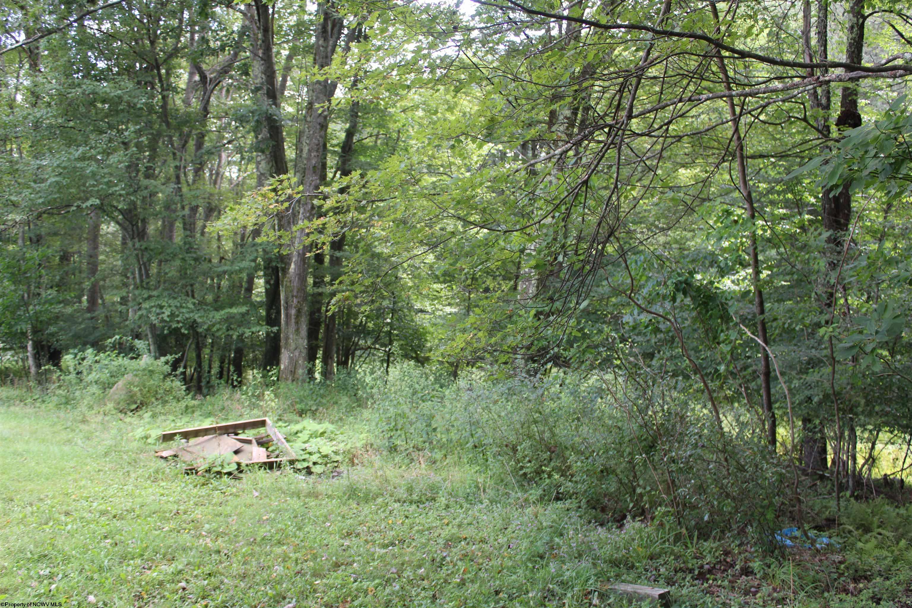 2535 Alpine Lake Road Terra Alta WV 26537