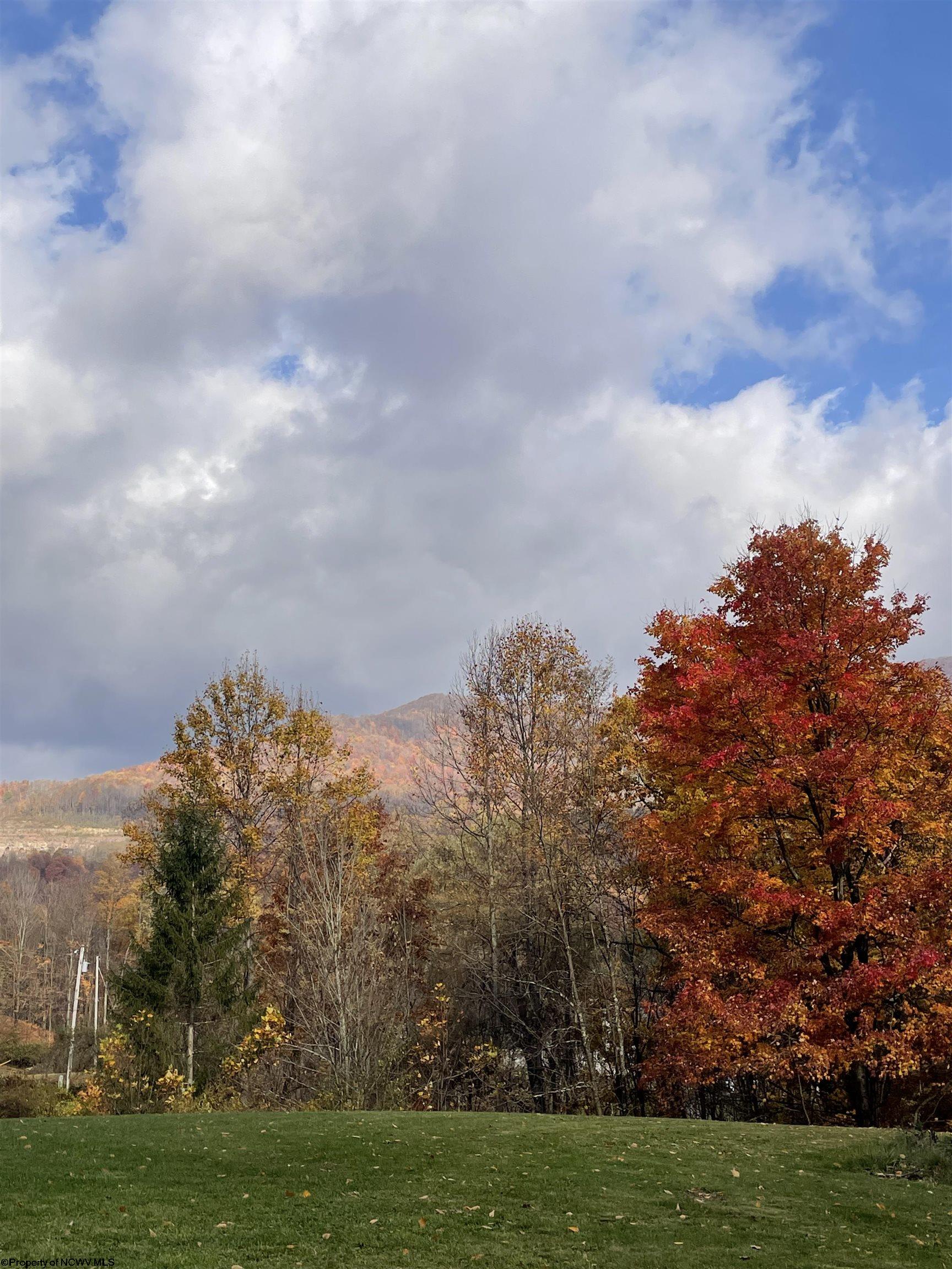 134 Hideaway Drive Elkins WV 26241