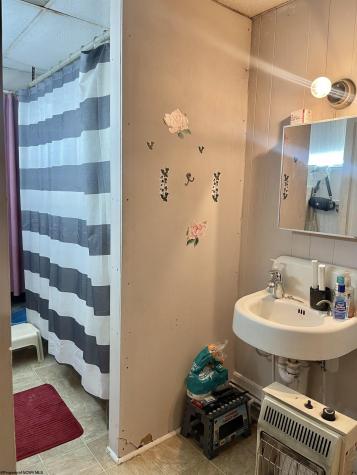 230 Thomas Avenue Davis WV 26260