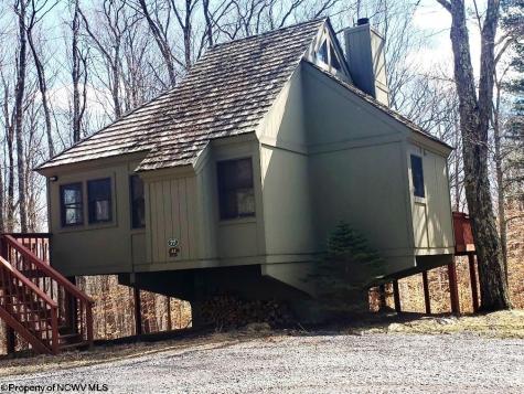 77 Red Squirrel Run Davis WV 26260