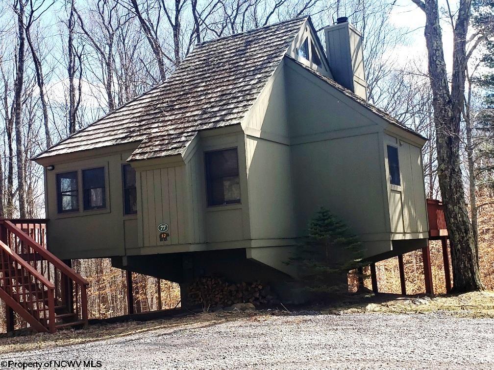 77 Red Squirrel Run Davis WV 26260