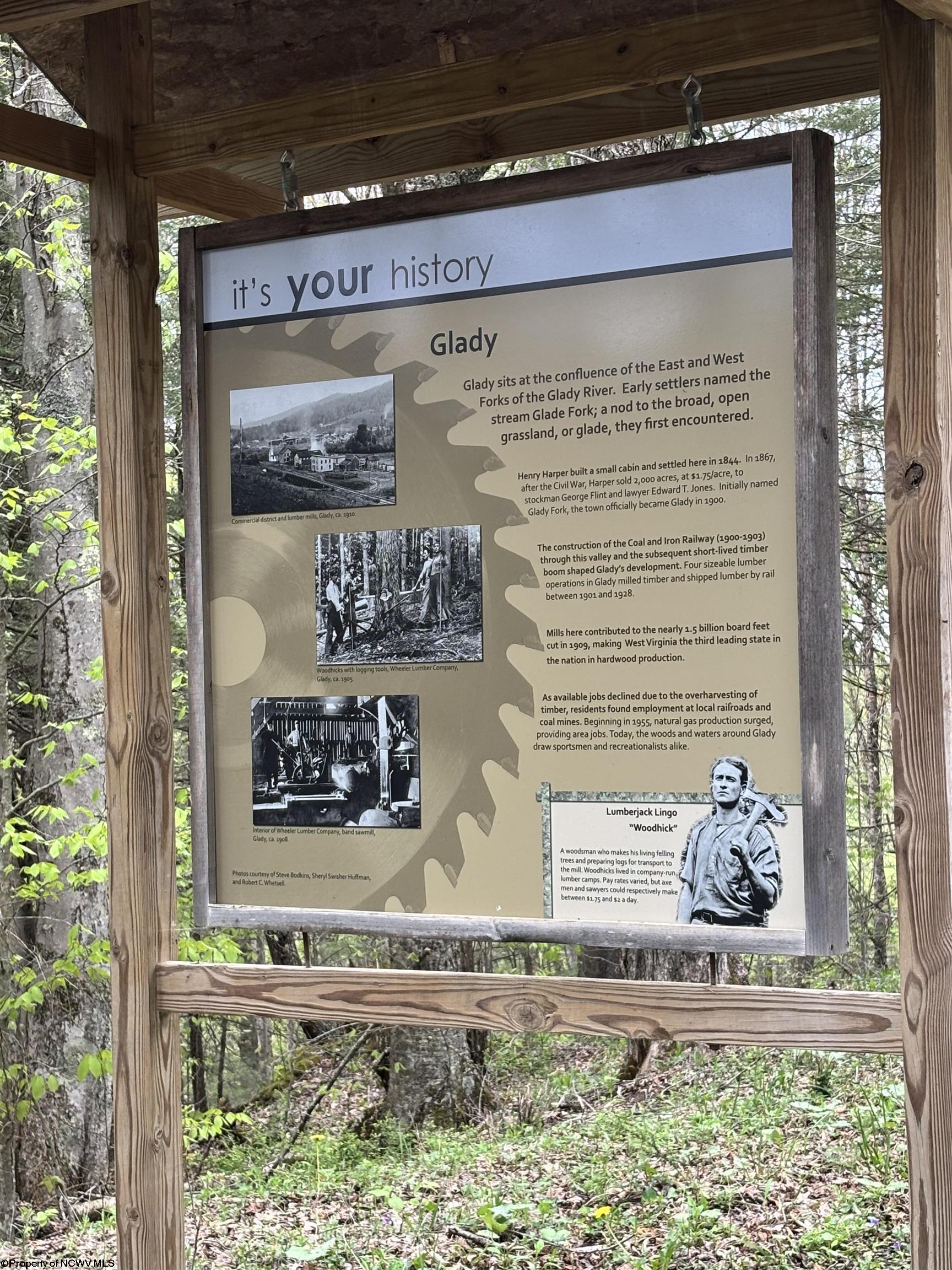 194 Mountaineer Road Glady WV 26268