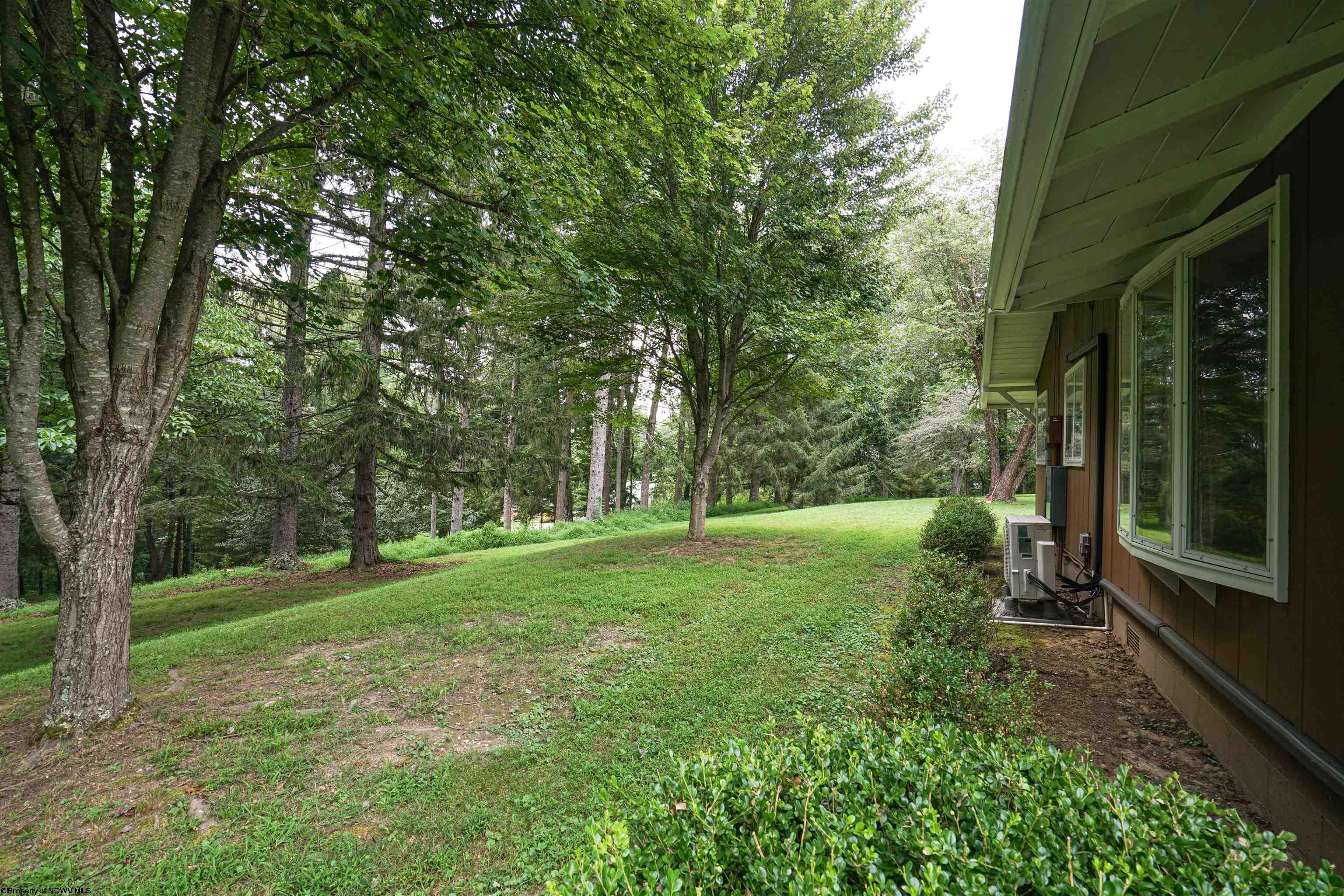 20 Mount Vista Drive Buckhannon WV 26201