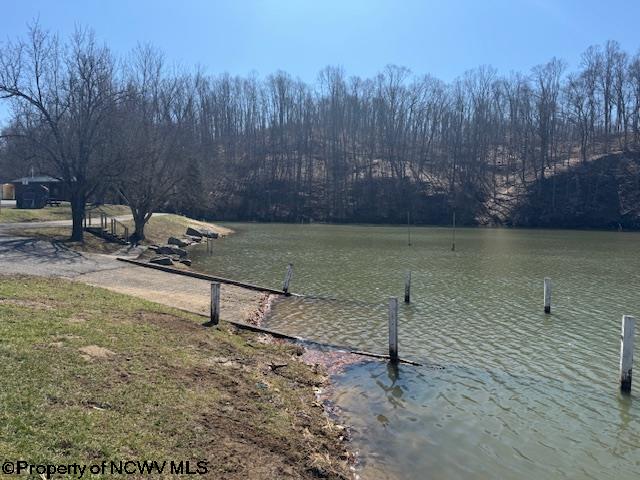 46 Juniper Lane Bridgeport WV 26330