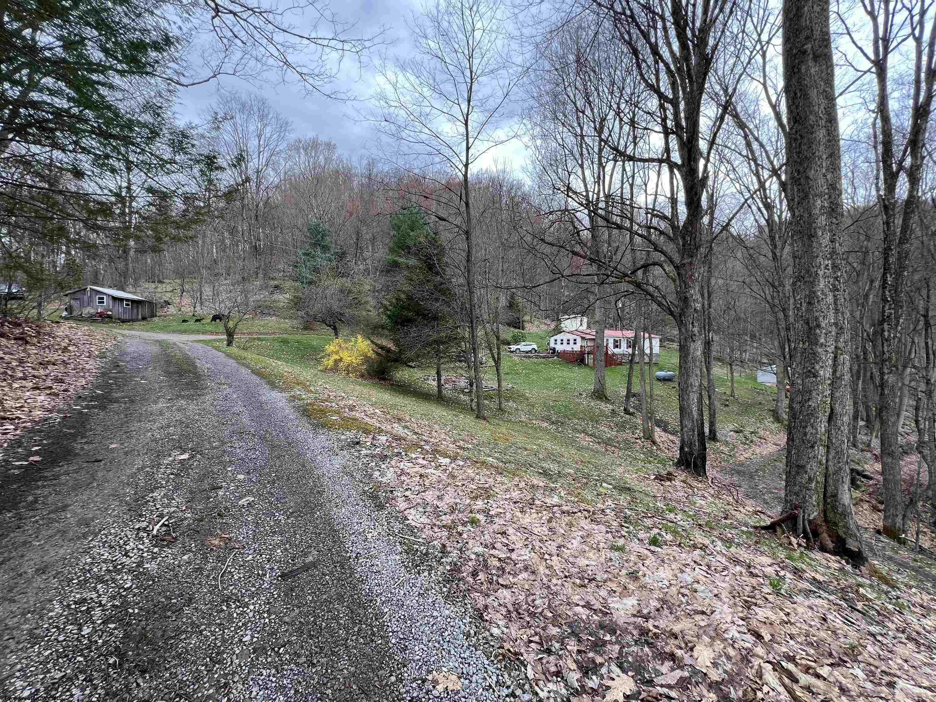 1796 Possum Hollow Road Mill Creek WV 26280