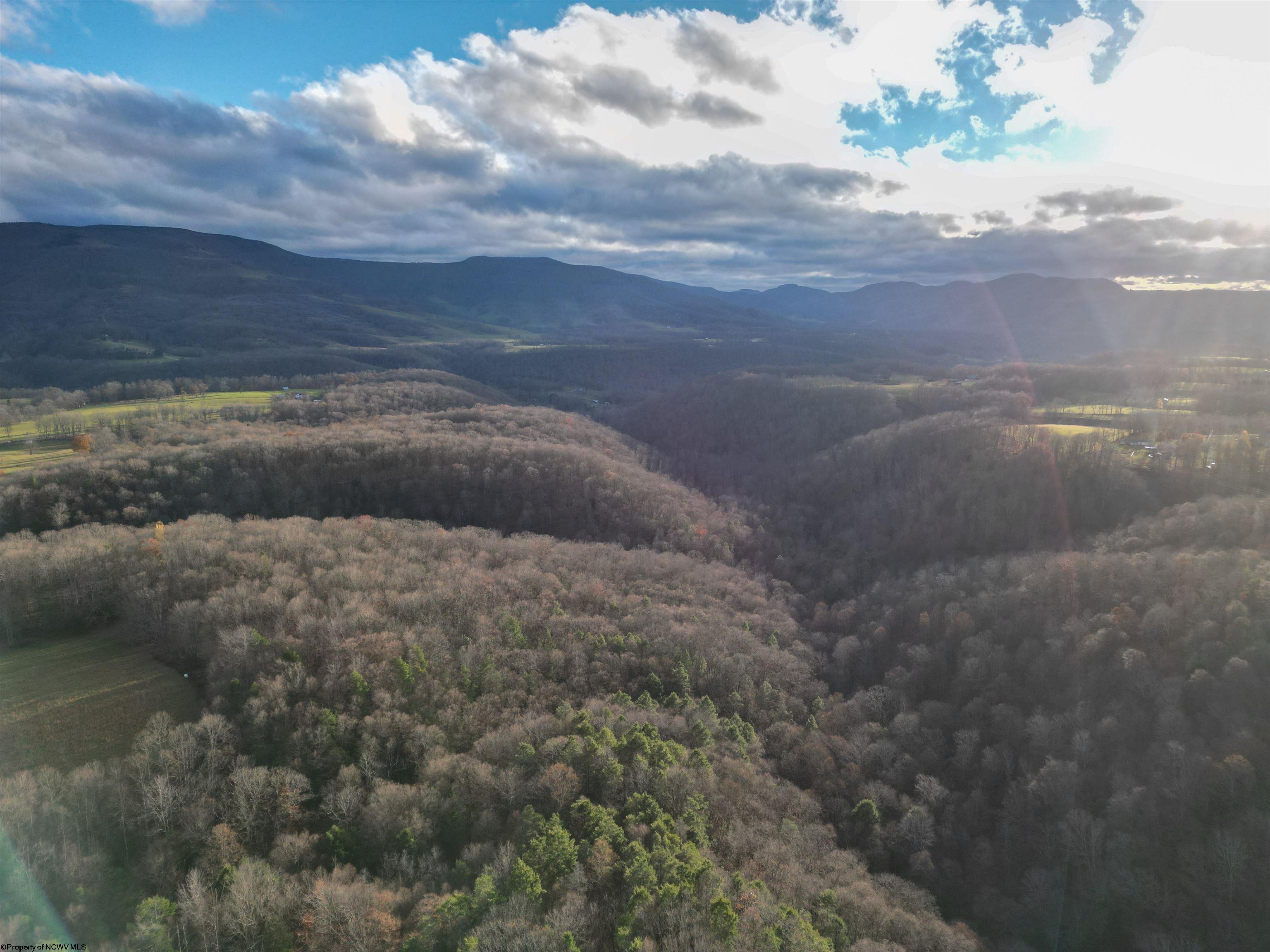 26 Turkey Foot Lane Dryfork WV 26260