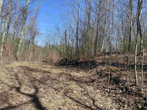 63 Diamond Drive Buckhannon WV 26201-4033