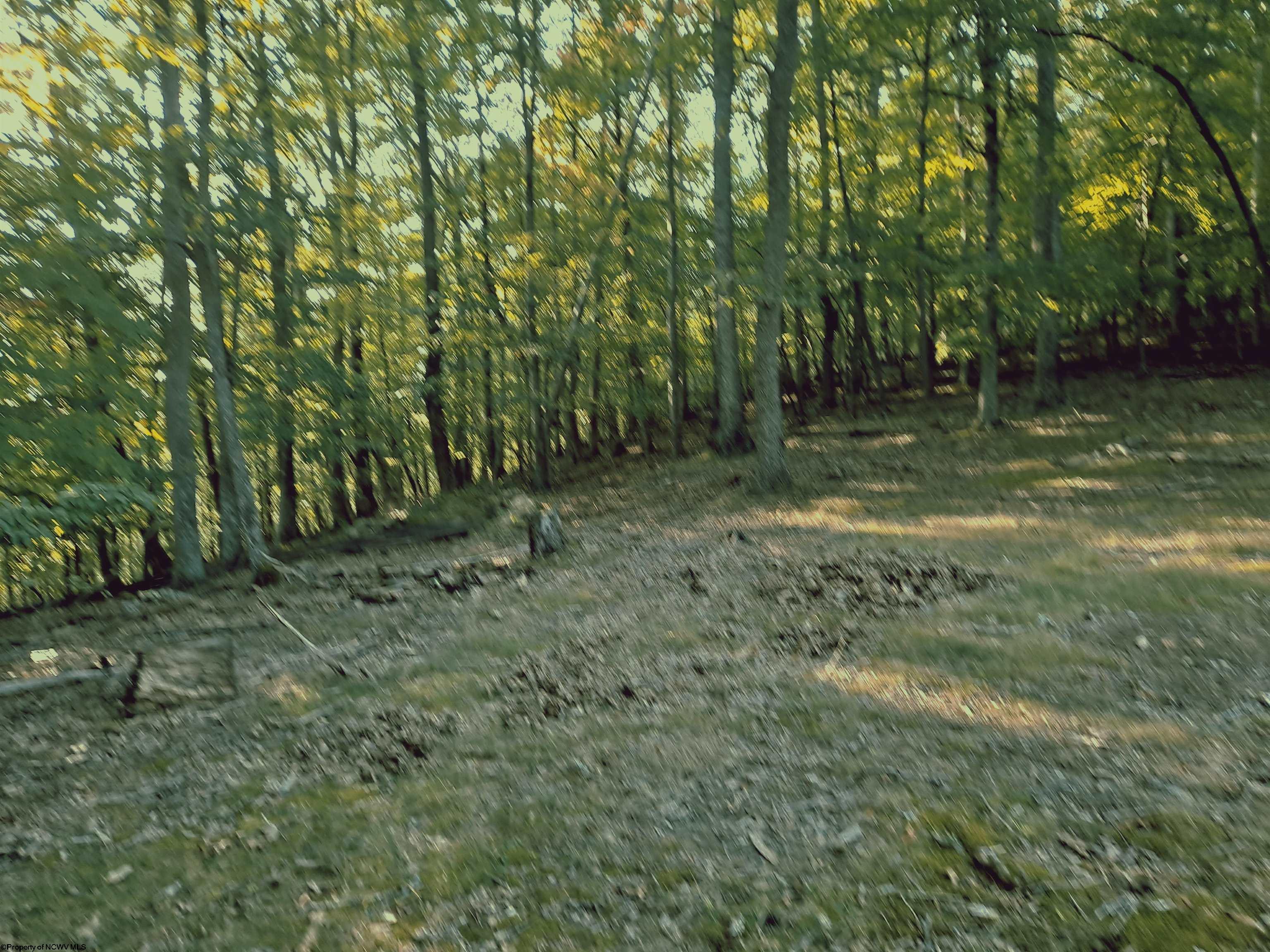 133 Flying Squares Drive Beverly WV 26253