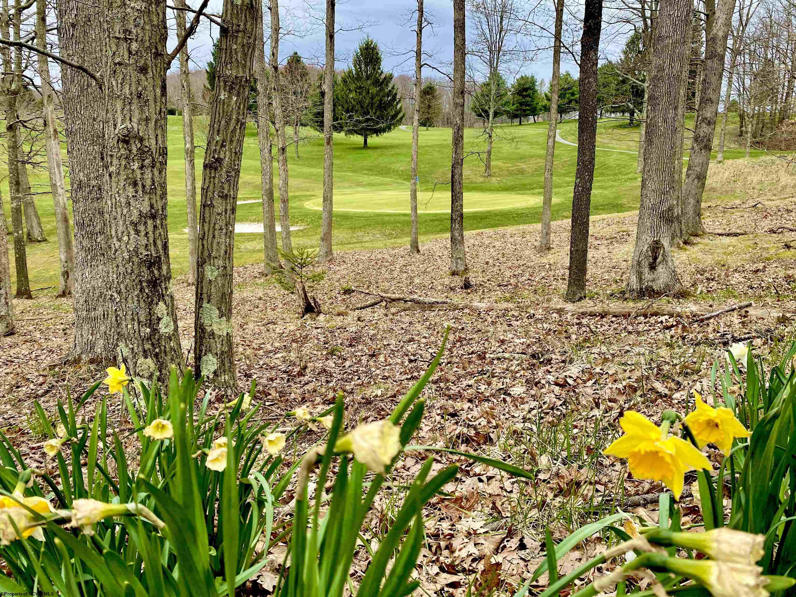 235 Betony Lane Terra Alta WV 26764